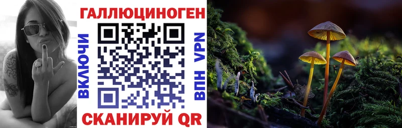 Купить  Кировград  Псилоцибиновые грибы мухоморы 