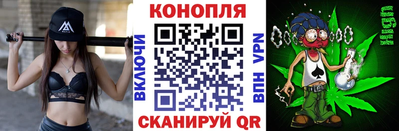 Марихуана семена  Купить  Кировград 
